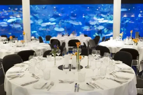 Aquatic Foyer With a Mesmerising Aquarium for Unique Receptions
