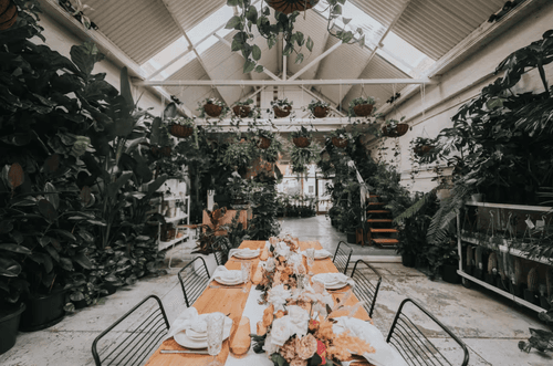 Botanic Wonderland for Unforgettable Celebrations