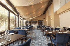 Top Catering Options for Events in Monaco