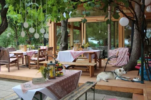 Vibrant Garden Terrace With Grape Vines and Colourful Décor for Weddings