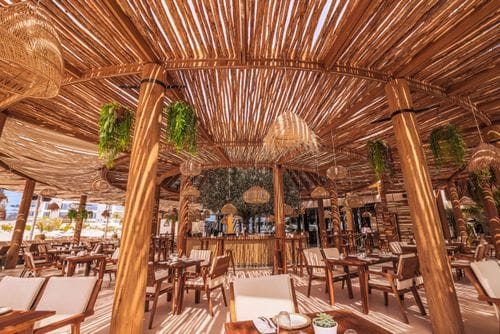 The Ultimate Guide to Hosting Sustainable Events