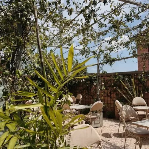 Rooftop Terrace With Lush Greenery for Outdoor Receptions