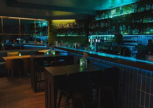 Chic Cocktail Bar With Striking Biophilic Interiors for Exclusive Mixers