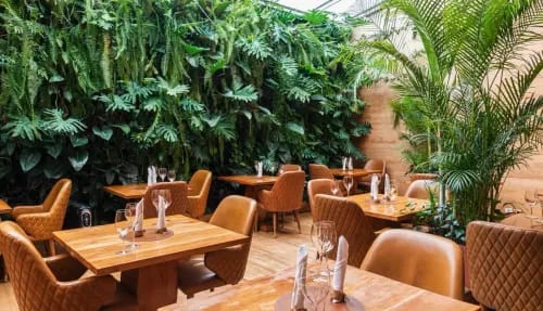 Welcoming Space With a Soothing Atmosphere