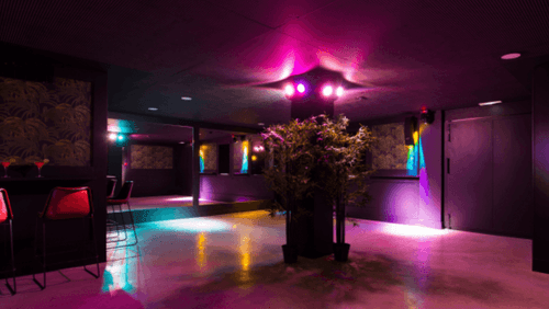 Indoor Lounge Club With Palm-Lined Terrace for After-Parties