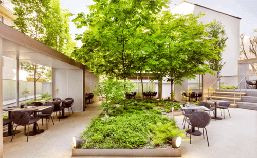 Secret Minimalist Garden With Warm Lights for Intimate Cocktails