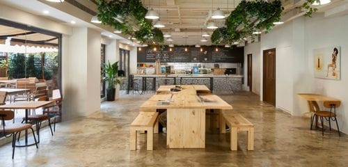 Urban-Chic Café With Hanging Plants and Terrace for Pop-Ups & Workshops