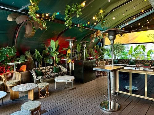 Neon-Lit Tropical Terrace With Deck Flooring for Social Events