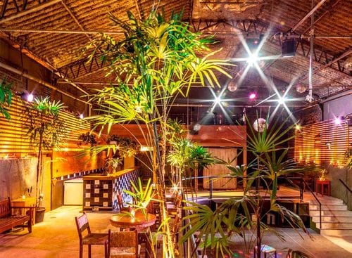 Playful Greenery-Filled Space with Rustic Charm for Memorable Gatherings