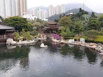 Green Spaces: Best Parks and Outdoor Areas in Hong Kong