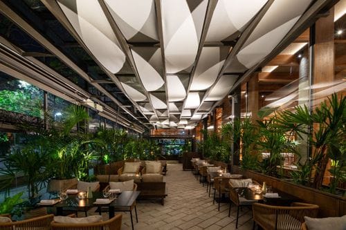 Open-Air Terrace Framed by Contemporary Wooden Details and Lush Greenery