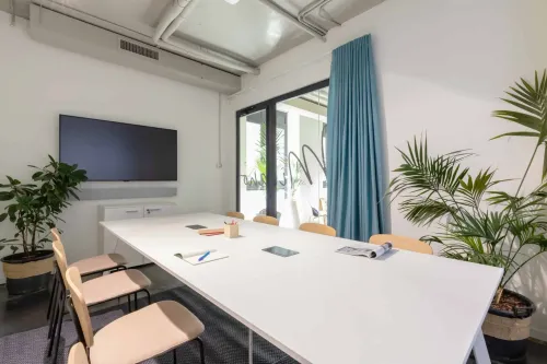 Sunlit Minimalist Boardroom With Verdant Charm for Focused Meetings