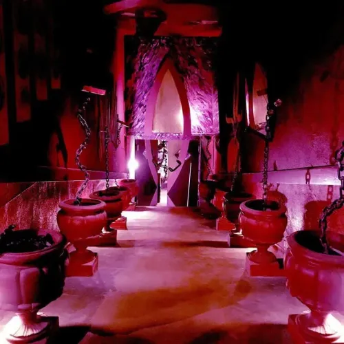 Aesthetic and Distinct Club for events