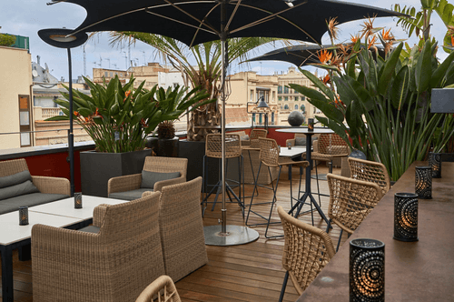 Chic Rooftop Terrace With a Tropical Ambiance for Dynamic Networking Events