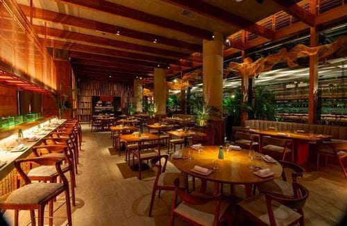 Modern Wooden Design Meets Culinary Craft in a Stunning Setting