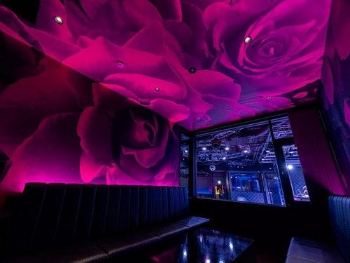 High-End Private Suites With Signature Style and Plush Comfort for VIP Gatherings