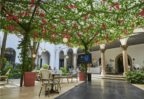 Boutique Pavilion With Lush Foliage for Dynamic Summer Socials