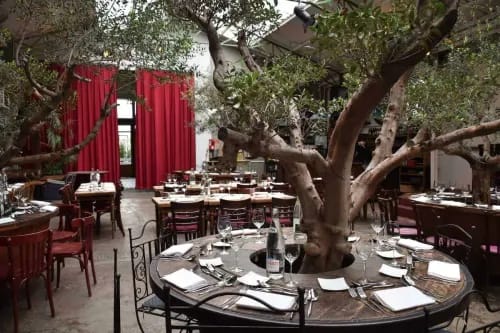Charming event venue with a glass roof
