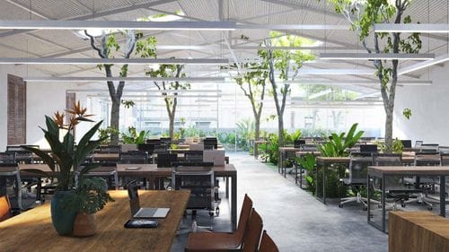 Creative Workshop Hub With Skylit Greenery for Team Offsites