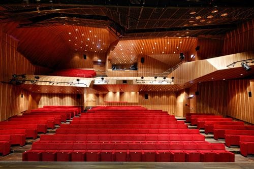 Striking Wooden Acoustic Hall for Dynamic Symposiums