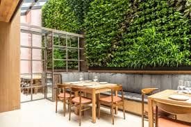 Skylit Private Dining Room With Lush Green Wall and Wooden Elegance for Private Business Meals 
