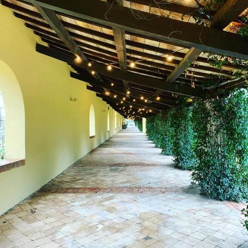 Charming Walkway With Green Foliage and Rustic Elegance for Receptions and Outdoor Events