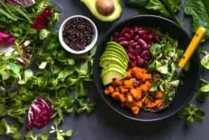 Amsterdam - Best Vegan Catering