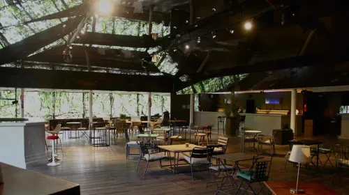 Forest-Inspired Tent With Draped Foliage for Intimate Celebrations