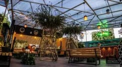 The 5 Coolest Event Caterers in Mexico City