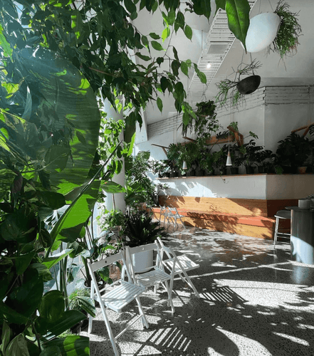 Unique Event Venue With Lush Green Space