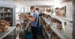 The 8 Best Team-Building Ideas in Brussels