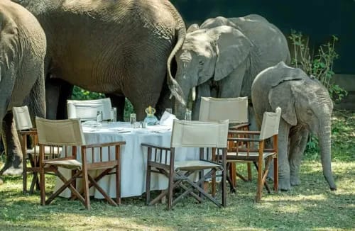 10 Super Corporate Event Themes