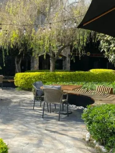 Tranquil Terrace With Lush Greenery for Elegant Outdoor Luncheons
