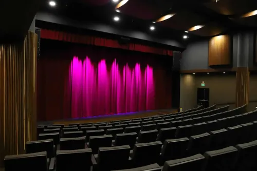 Phenomenal Theatre Space for Conferences