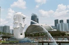 Building Connection and Clarity: Rethinking Company Retreats in Singapore