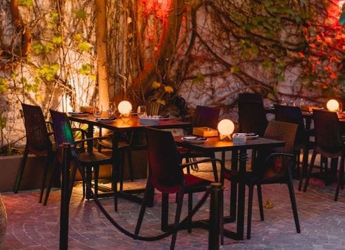 Tropical Jungle Courtyard With Ivy Walls for Networking Events