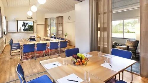 Warm Scandinavian Room With Natural Light for Focused Gatherings