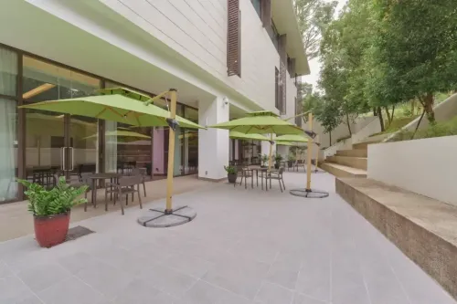 Outdoor Terrace With Green Façade for Networking Events