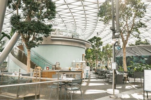 Oasis of Greenery: Modern Outdoor Venue