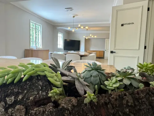 Stylish and Spacious Boardroom With Natural Light for Brainstorming