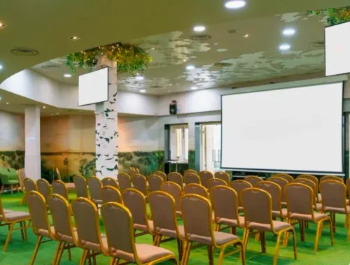 Immersive Woodland Room With Birch Columns and Grass Carpet for Company Retreats