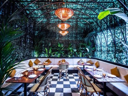 Elegant Greenhouse-Inspired Venue for Intimate Gatherings. BB Social Dining